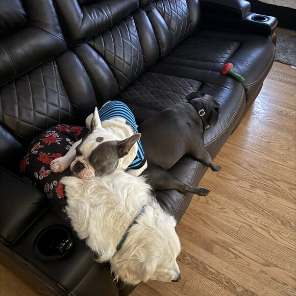 Don't Sleep On These Amazing Deals - Picture 2 of 7